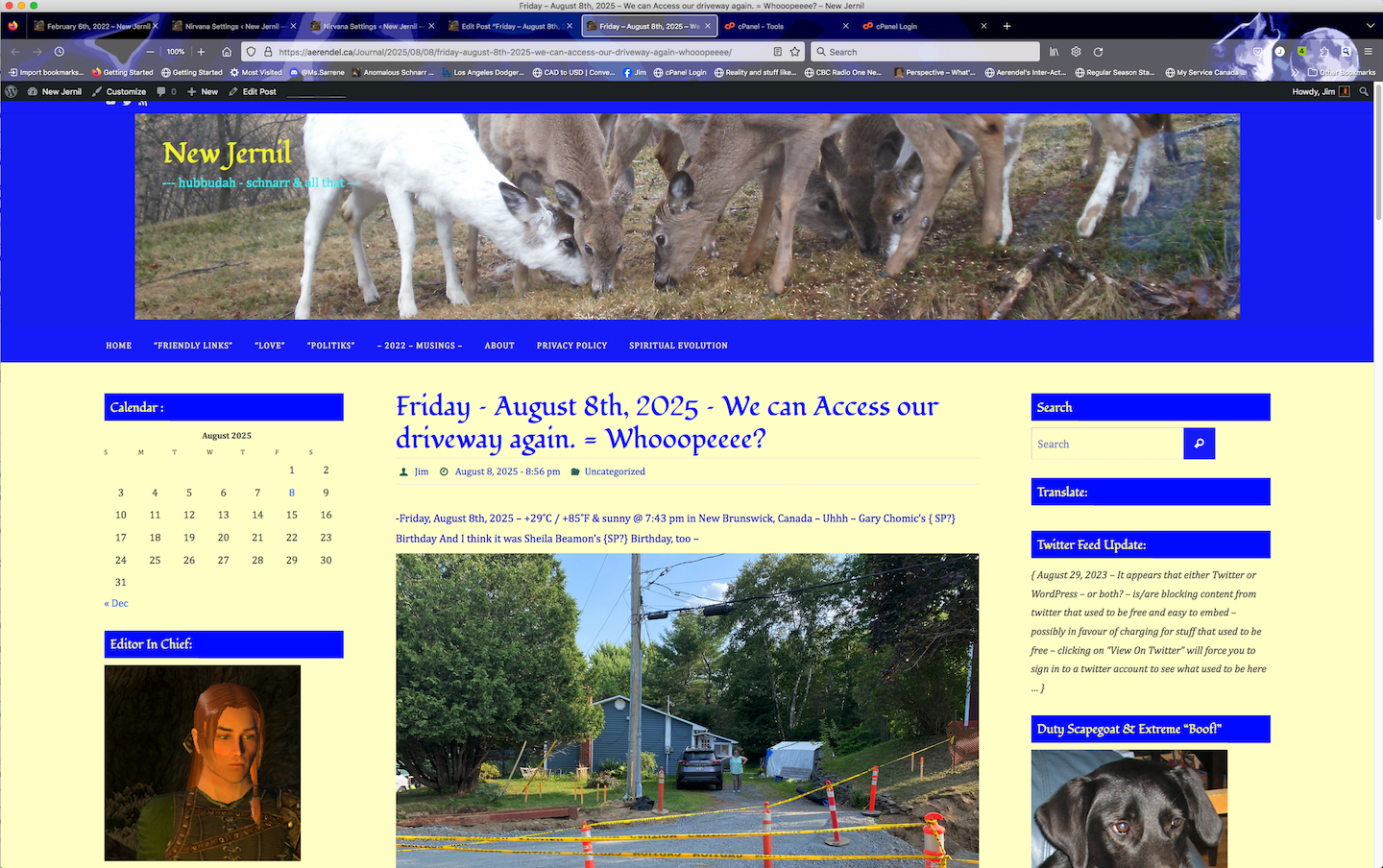 -This is what the blog is suppose to look like-