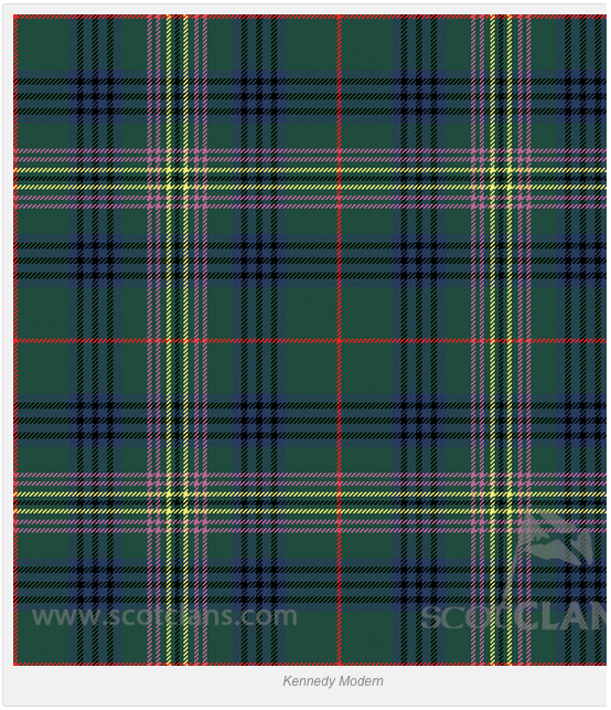 Kennedy Family Tartan - 2D T-shirt